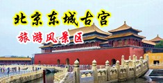 女生被操到高潮高清网站中国北京-东城古宫旅游风景区